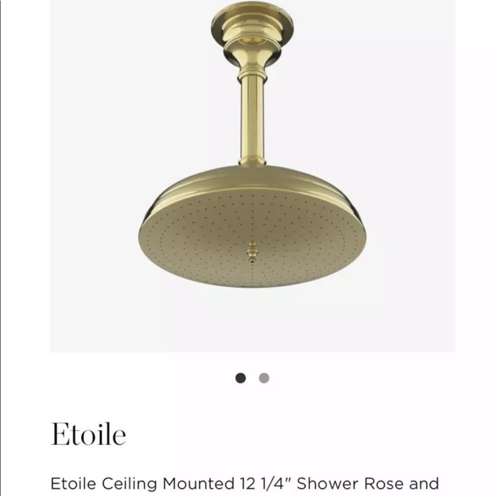 Waterworks Etoile Ceiling Mounted 12 1/4” Shower Rose ONLY Brass Finish